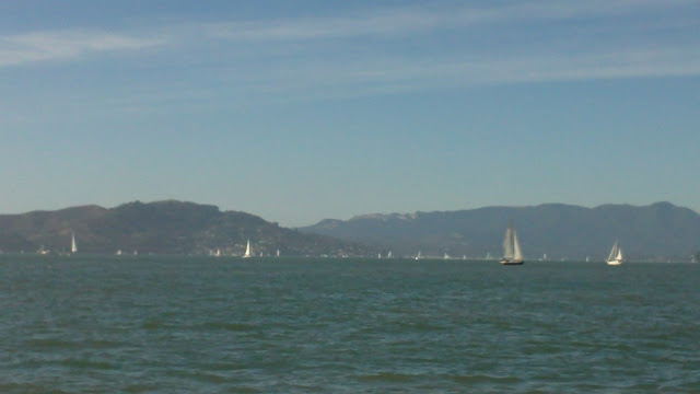 This is a light to moderate day of traffic on the Bay. The weekends are crazy, and the big ships can come at any time.