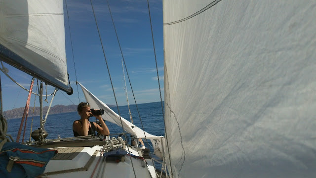 Underway between San Evaristo and Los Gatos. While Harmony took photos, I brainstormed choreography incorporating the jib and shrouds. One of these days . . .