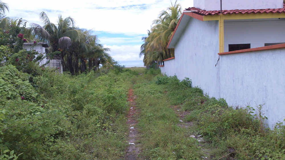 From Marina Chiapas we would ride our folding bikes the 3 miles or so to this unassuming path that led to 