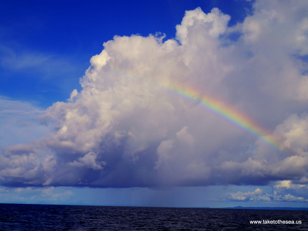 Sunsets and rainbows and dolphins never get old.